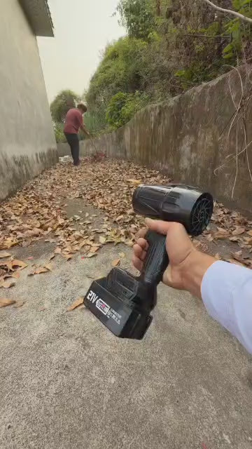 Jet Blower with Charger & 2 x Battery